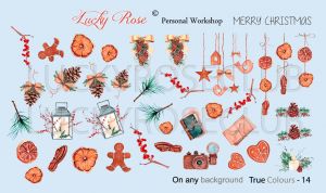 True Color-0014 Lucky Rose - NOGTISHOP
