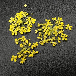1674 Сухоцветы "Любимые цветочки" - NOGTISHOP