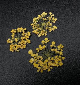 1675 Сухоцветы "Любимые цветочки" - NOGTISHOP