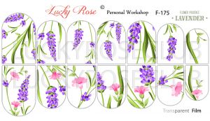 Series F-175 Lucky Rose - NOGTISHOP