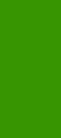 Гелевая краска RUNAIL №2509 Tropics Тропики, травяной, классическая в банке, 7.5 гр. 