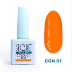 Гель-лак Secret color gel NEON CGN02