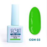 Гель-лак Secret color gel NEON CGN03
