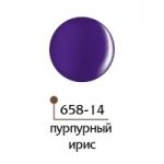 4D цветной гель Formula profi ART LINE №658-14 Пурпурный ирис, 5 гр.