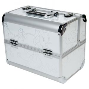 Кейс (чемодан) профессиональный «Irisk professional» серебро большой (36х35х22) №4.