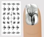 Слайдер для дизайна ногтей, X-Ray, №XR120, NOGTIKA