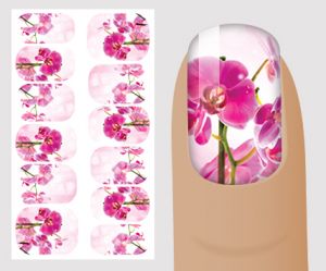 Слайдер для дизайна ногтей, "Фотодизайн" №D123 ,  NOGTIKA - NOGTISHOP