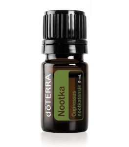 doTERRA Кипарис Нутканский, Nootka, 5 мл - NOGTISHOP