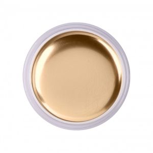 Gel Paint CHROME Gold 5g - NOGTISHOP