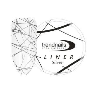 Паутинка LINER Trend Nails Silver 5 мл  - NOGTISHOP