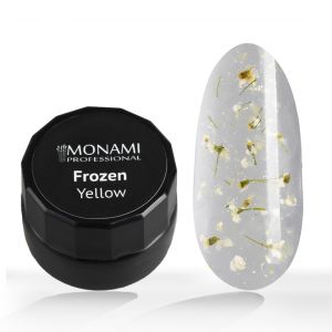 Гель с сухоцветами Frozen Yellow, MONAMI, 5 г  - NOGTISHOP